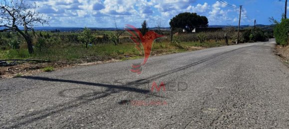 10000m² Land in Bombarral, Portugal No. 64132 12