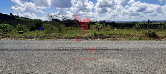 10000m² Land in Bombarral, Portugal No. 64132 9