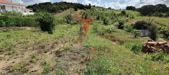 10000m² Land in Bombarral, Portugal No. 64132 5