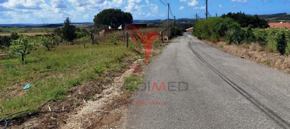 10000m² Land in Bombarral, Portugal No. 64132 11