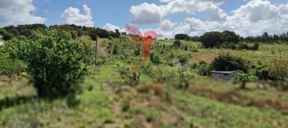 10000m² Land in Bombarral, Portugal No. 64132 6