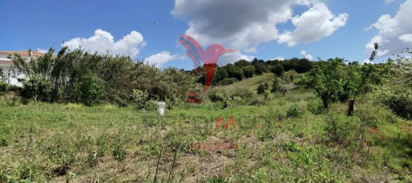 10000m² Land in Bombarral, Portugal No. 64132 17