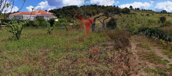 10000m² Land in Bombarral, Portugal No. 64132 13