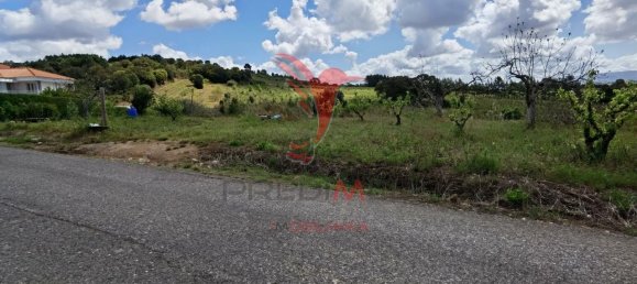 10000m² Land in Bombarral, Portugal No. 64132 2