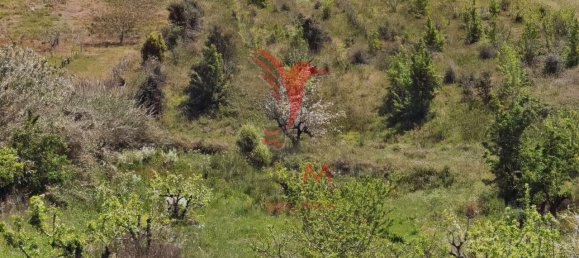 10000m² Land in Bombarral, Portugal No. 64132 4