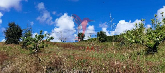 10000m² Land in Bombarral, Portugal No. 64132 16