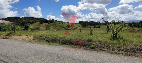 10000m² Land in Bombarral, Portugal No. 64132 3