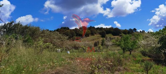 10000m² Land in Bombarral, Portugal No. 64132 15