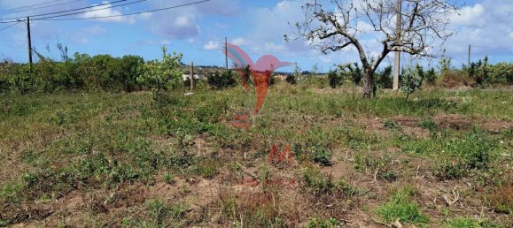 10000m² Land in Bombarral, Portugal No. 64132 8