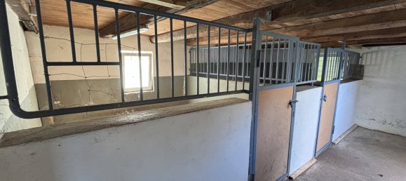 6 rooms Farm in Soest, Germany No. 226438 20