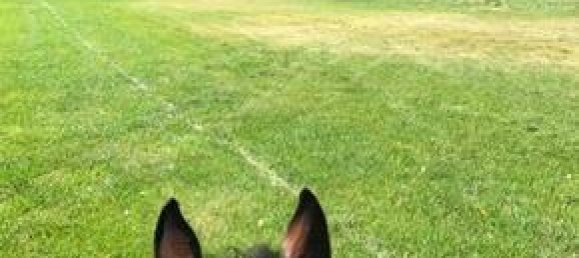 6 Schlafzimmer Gewerbliche Immobilie in New Castle, USA, Nr. 560253 7