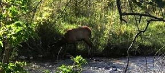 6 Schlafzimmer Gewerbliche Immobilie in New Castle, USA, Nr. 560253 3