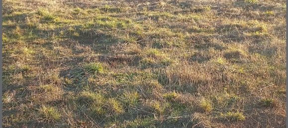 Terreno en Raville, France 724 m² No. 215742 4