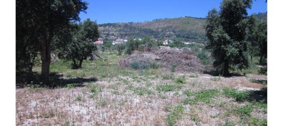 12000m² Land in Alpedrinha, Portugal No. 76561 19