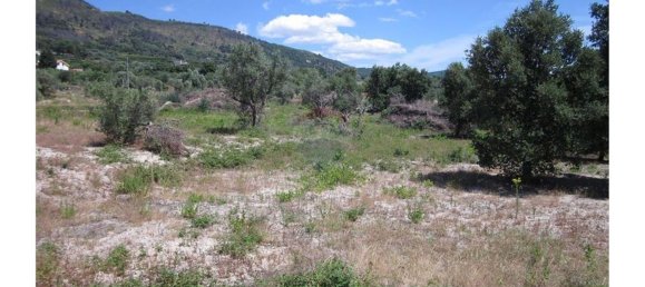 12000m² Land in Alpedrinha, Portugal No. 76561 18