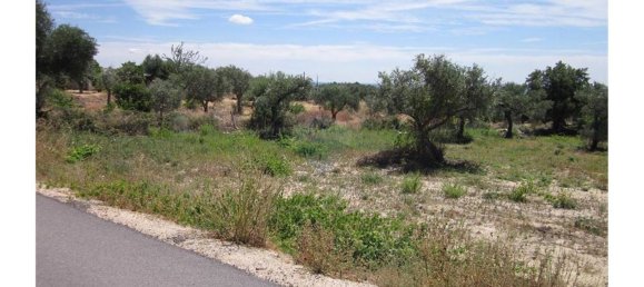 12000m² Land in Alpedrinha, Portugal No. 76561 9