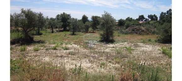 12000m² Land in Alpedrinha, Portugal No. 76561 10