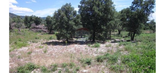12000m² Land in Alpedrinha, Portugal No. 76561 17