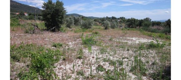 12000m² Land in Alpedrinha, Portugal No. 76561 16