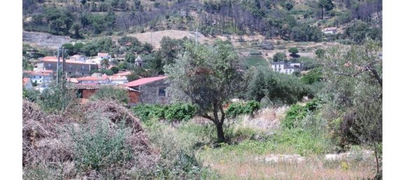 12000m² Land in Alpedrinha, Portugal No. 76561 22