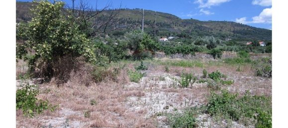 12000m² Land in Alpedrinha, Portugal No. 76561 15