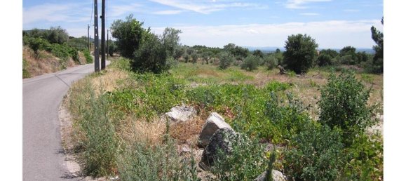 12000m² Land in Alpedrinha, Portugal No. 76561 14