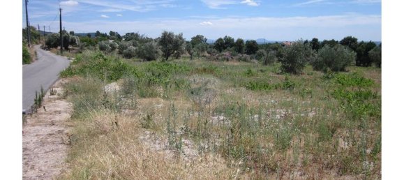 12000m² Land in Alpedrinha, Portugal No. 76561 12