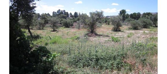12000m² Land in Alpedrinha, Portugal No. 76561 6
