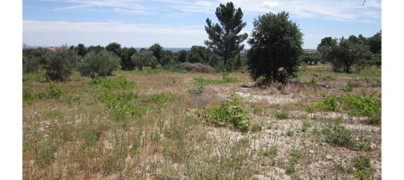 12000m² Land in Alpedrinha, Portugal No. 76561 13