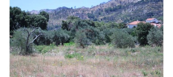 12000m² Land in Alpedrinha, Portugal No. 76561 4