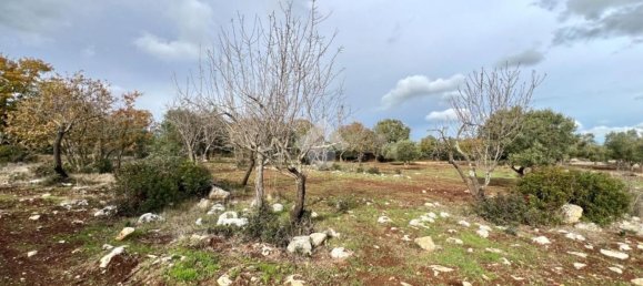  قطعة أرض في Ceglie Messapica, Italy 11073متر مربع رقم 168166 2