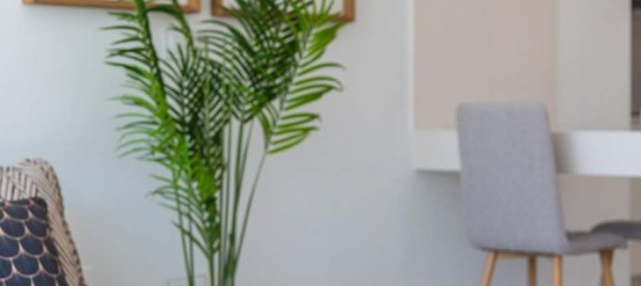 4 غرف نوم فيلا في Playa Honda, Spain رقم 12432 21