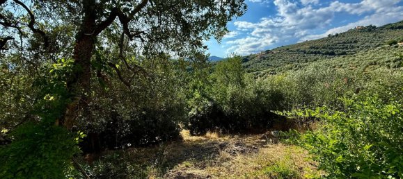 5-Zimmer Haus in Pistoia, Italy, Nr. 262279 25