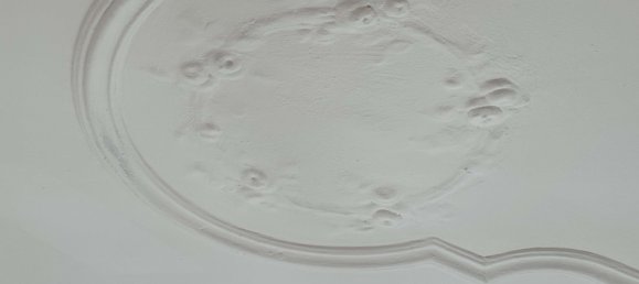 2 غرف نوم شقة في Steglitz, Germany رقم 317219 10