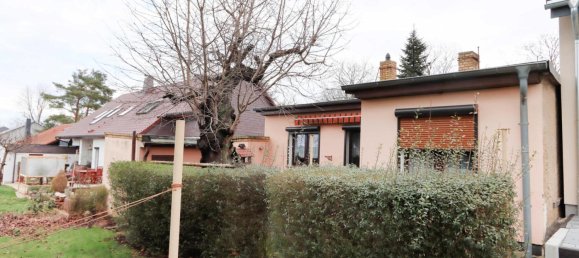 Bungalow de 2 habitaciónes en Leipzig, Germany No. 77533 7