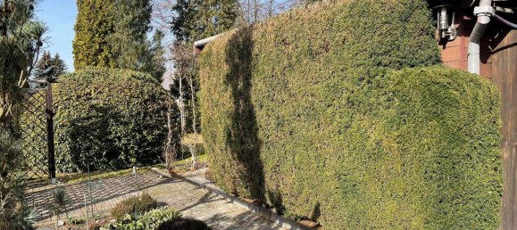 Bungalow de 2 habitaciónes en Spree-Neise, Germany No. 61222 7