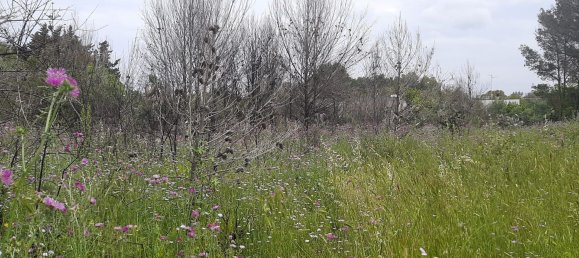  قطعة أرض في Lecce, Italy 2000متر مربع رقم 172385 6