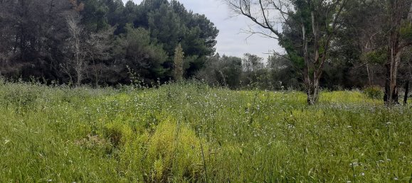  قطعة أرض في Lecce, Italy 2000متر مربع رقم 172385 7