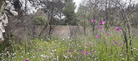  قطعة أرض في Lecce, Italy 2000متر مربع رقم 172385 9