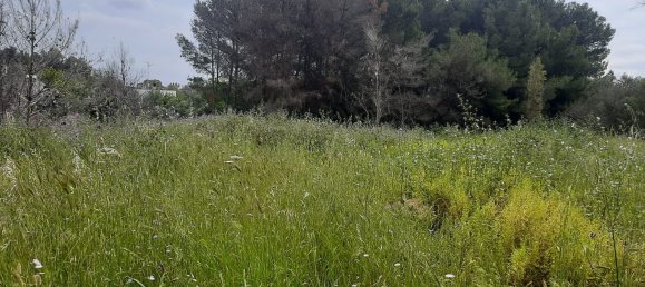  قطعة أرض في Lecce, Italy 2000متر مربع رقم 172385 8