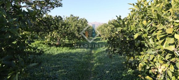 20032m² Land in Mineo, Italy No. 230836 11