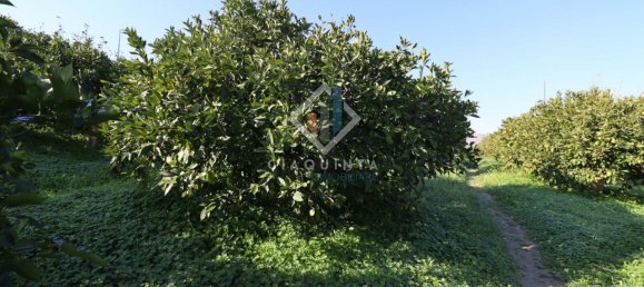 20032m² Land in Mineo, Italy No. 230836 4