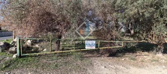 20032m² Land in Mineo, Italy No. 230836 19