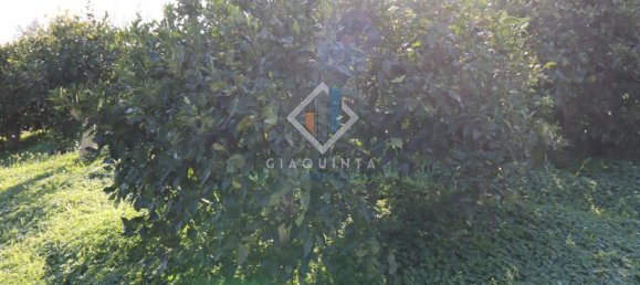 20032m² Land in Mineo, Italy No. 230836 13