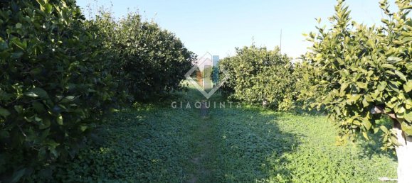 20032m² Land in Mineo, Italy No. 230836 6