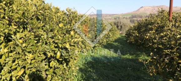 20032m² Land in Mineo, Italy No. 230836 10