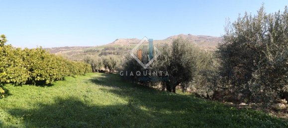 20032m² Land in Mineo, Italy No. 230836 23