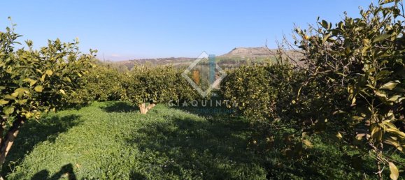 20032m² Land in Mineo, Italy No. 230836 3