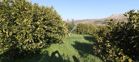 20032m² Land in Mineo, Italy No. 230836 12