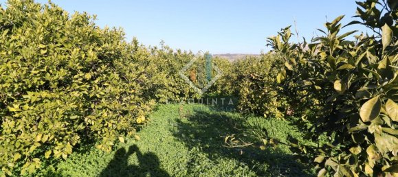 20032m² Land in Mineo, Italy No. 230836 17